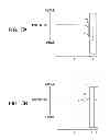 Fig. 06 - Solid-state imaging device with a hole storage layer