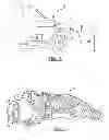 Fig. 02 - Electrical terminal and receptacle assembly