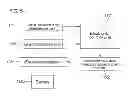 Fig. 06 - Marine vessel propulsion device