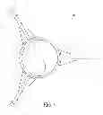 Fig. 06 - Mooring buoy assembly