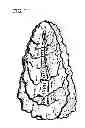Fig. 02 - CRYO-SHUCKING OF OYSTERS