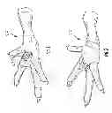 Fig. 02 - Device for removing material from feet of poultry
