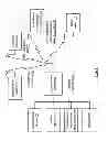 Fig. 02 - REVERSE CHANNEL ESTIMATION FOR RF TRANSCEIVER WITH BEAMFORMING ANTENNA