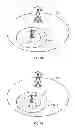 Fig. 07 - BASE STATION APPARATUS, MOBILE TERMINAL APPARATUS AND COMMUNICATION CONTROL METHOD