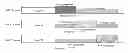 Fig. 01 - System and method for semi-static downlink inter-cell interference coordination for wireless communications