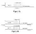 Fig. 06 - System and method for semi-static downlink inter-cell interference coordination for wireless communications