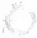Fig. 14 - Torque fluctuation absorber