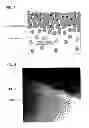 Fig. 02 - PHOTOCATALYST FIBER AND PRODUCTION METHOD THEREOF