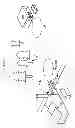 Fig. 02 - Compositions and Methods for Therapeutic Delivery with Microorganisms