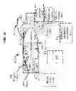 Fig. 45 - Compositions and Methods for Therapeutic Delivery with Microorganisms