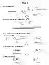 Fig. 06 - Detection of target nucleic acid sequences by PTO cleavage and extension assay