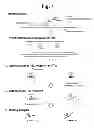 Fig. 08 - Detection of target nucleic acid sequences by PTO cleavage and extension assay
