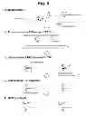 Fig. 09 - Detection of target nucleic acid sequences by PTO cleavage and extension assay