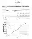 Fig. 28 - Detection of target nucleic acid sequences by PTO cleavage and extension assay