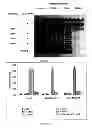 Fig. 08 - METHODS FOR INHIBITING NECROSIS