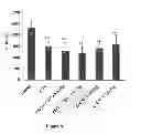 Fig. 06 - G-CSF and water-soluble polymer conjugate