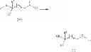 Fig. 08 - G-CSF and water-soluble polymer conjugate