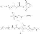 Fig. 09 - G-CSF and water-soluble polymer conjugate