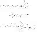 Fig. 22 - G-CSF and water-soluble polymer conjugate