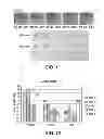 Fig. 08 - MicroRNA compositions and methods related thereto