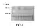 Fig. 09 - MicroRNA compositions and methods related thereto