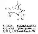 Fig. 01 - Composition for treating or preventing neurodegenerative brain diseases comprising black bean extract
