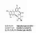 Fig. 02 - Composition for treating or preventing neurodegenerative brain diseases comprising black bean extract