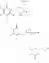 Fig. 30 - NOVEL PYRIDINONE DERIVATIVES AND THEIR USE AS POSITIVE ALLOSTERIC MODULATORS OF MGLUR2-RECEPTORS
