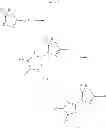 Fig. 46 - Mitotic kinesin inhibitors and methods of use thereof