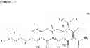 Fig. 152 - C7-fluoro substituted tetracycline compounds
