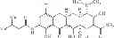 Fig. 216 - C7-fluoro substituted tetracycline compounds