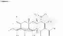 Fig. 53 - C7-fluoro substituted tetracycline compounds