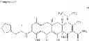 Fig. 77 - C7-fluoro substituted tetracycline compounds