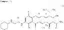 Fig. 95 - C7-fluoro substituted tetracycline compounds