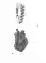Fig. 07 - Compositions and methods for treating Friedreich's Ataxia
