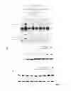 Fig. 09 - Compositions and methods for treating Friedreich's Ataxia