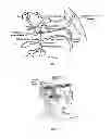 Fig. 02 - METHODS AND COMPOSITIONS FOR TREATING AND PREVENTING TRIGEMINAL AUTONOMIC CEPHALGIAS, MIGRAINE, AND VASCULAR CONDITIONS