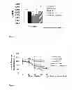 Fig. 04 - METHODS AND COMPOSITIONS FOR AMELIORATING THIAZIDE INDUCED HYPERLIPIDEMIA