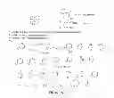 Fig. 06 - GRP94 inhibitors