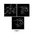 Fig. 08 - GRP94 inhibitors