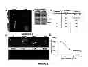 Fig. 09 - GRP94 inhibitors
