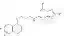 Fig. 02 - Compounds with antibacterial activity against 