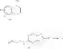 Fig. 07 - Compounds with antibacterial activity against 