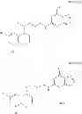 Fig. 35 - Compounds with antibacterial activity against 