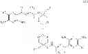 Fig. 23 - Heterocyclic compounds, medicaments containing said compounds, use thereof and processes for the preparation thereof