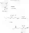 Fig. 35 - Tetrahydrocarboline derivative