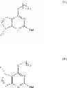 Fig. 02 - Purinyl derivatives and their use as potassium channel modulators