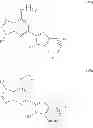 Fig. 07 - Purinyl derivatives and their use as potassium channel modulators