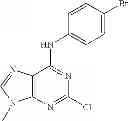 Fig. 40 - Purinyl derivatives and their use as potassium channel modulators