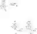 Fig. 44 - SPIRO COMPOUNDS AND PHARMACEUTICAL USE THEREOF